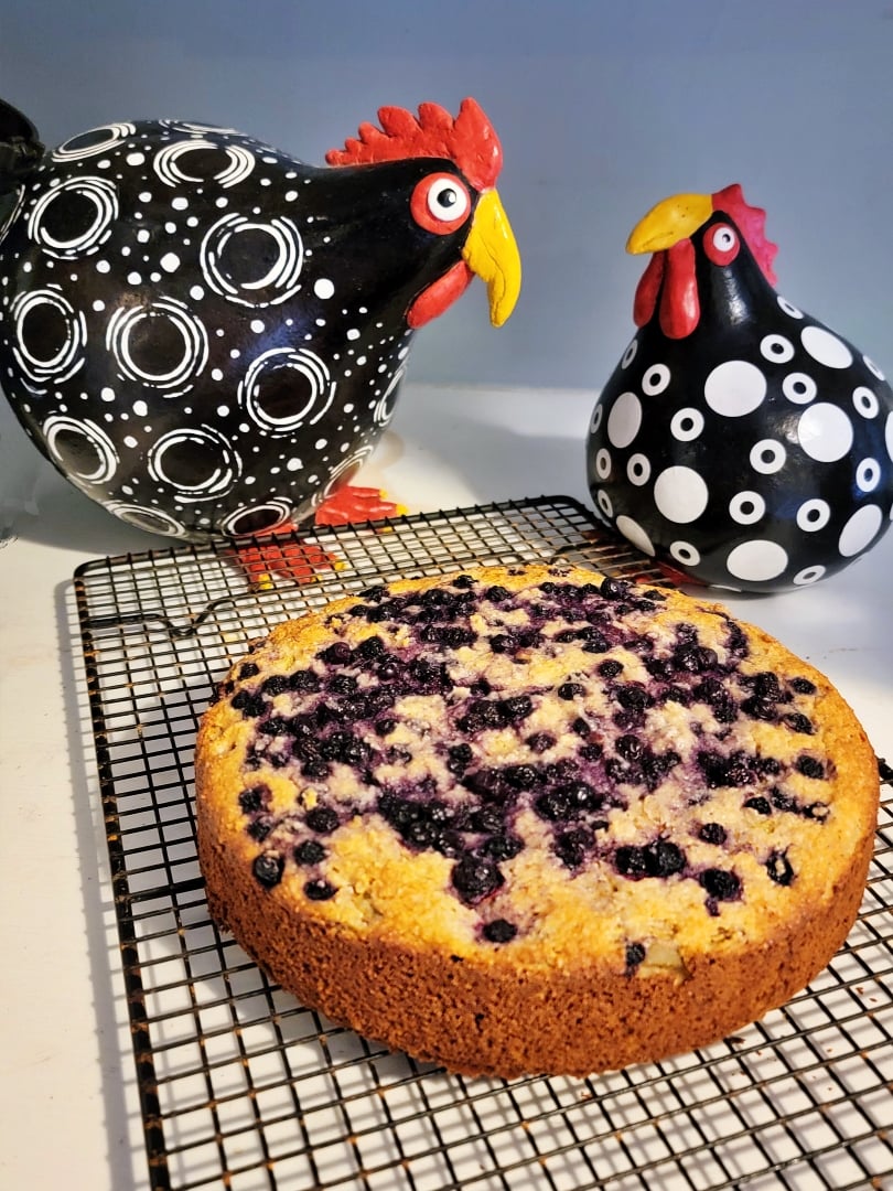 Blueberry Rhubarb Oat Cake