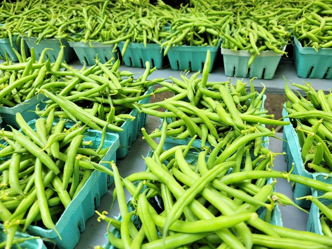 Green Beans Farmers Market