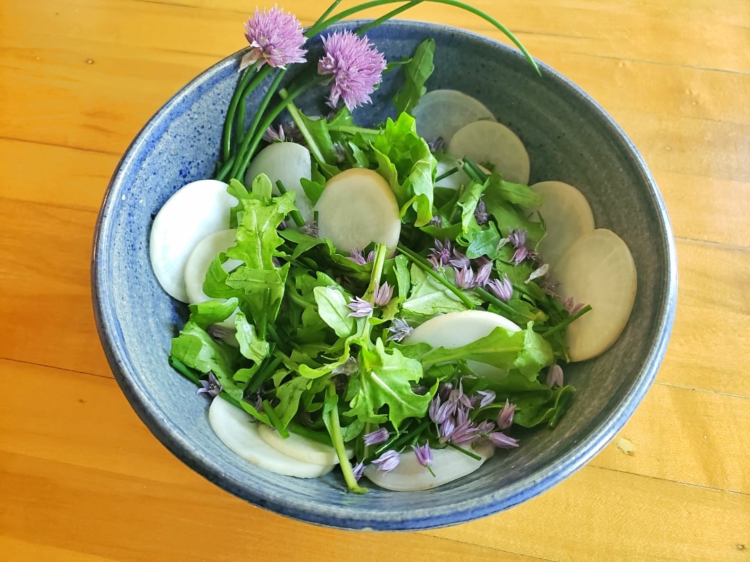 Hakurei Rocket Chive Salad