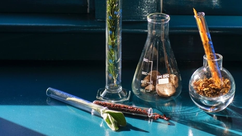 Herbs & Food as Medicina