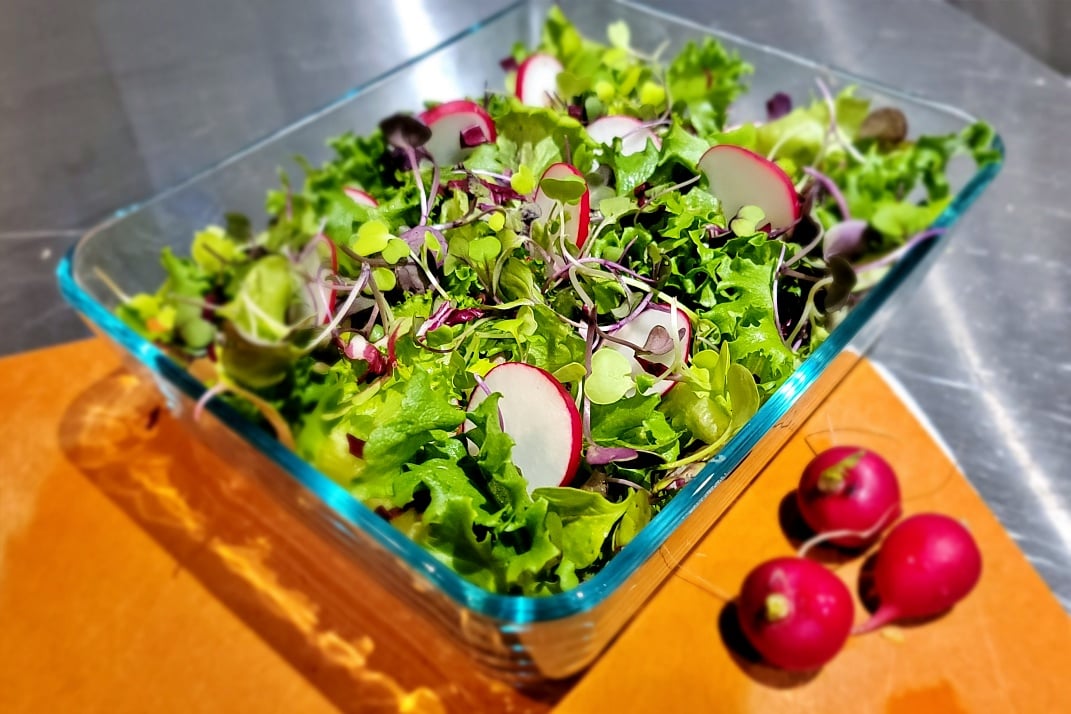 Microgreens & Radish Salad