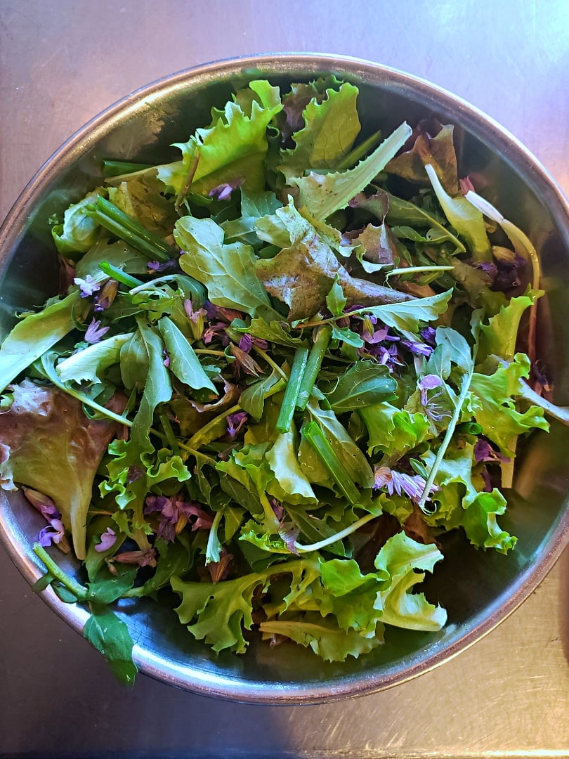 Mixed Lettuces & Chive Salad