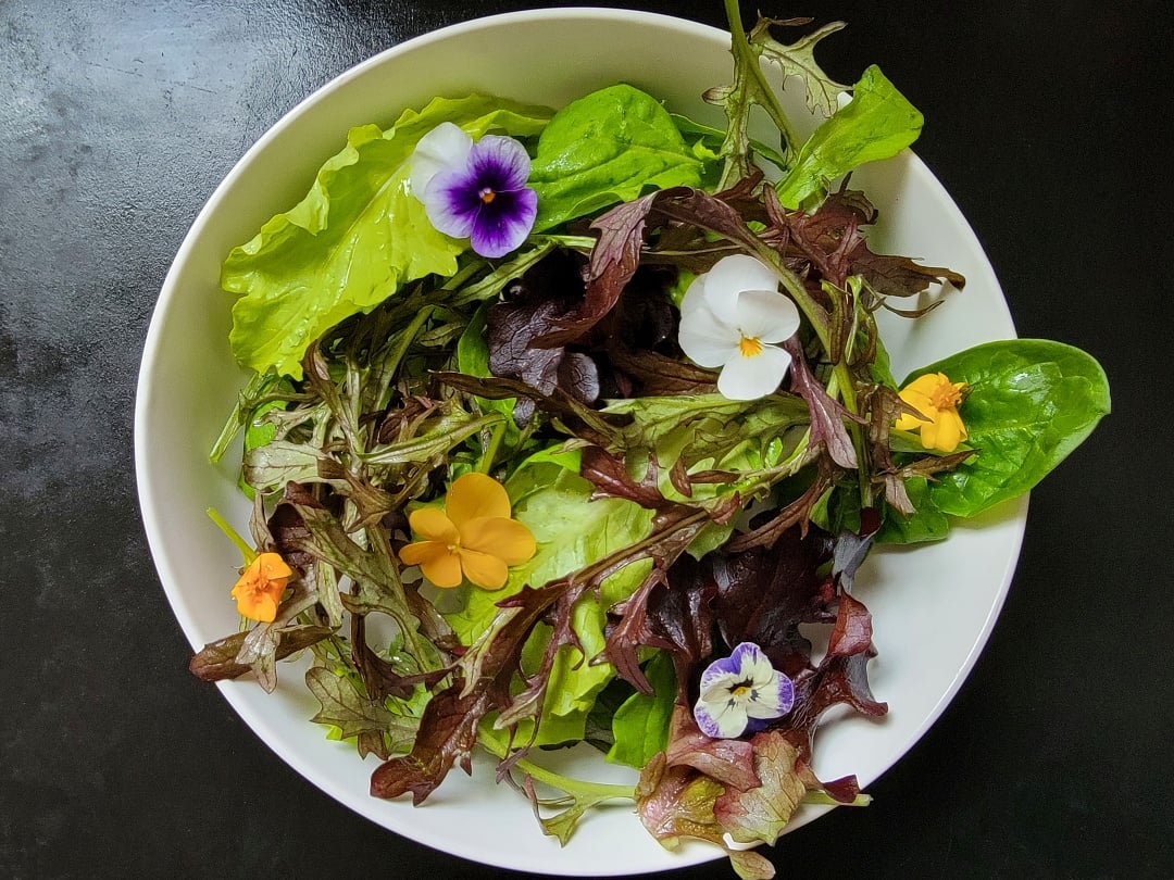 Pansy & Mizuna Salad
