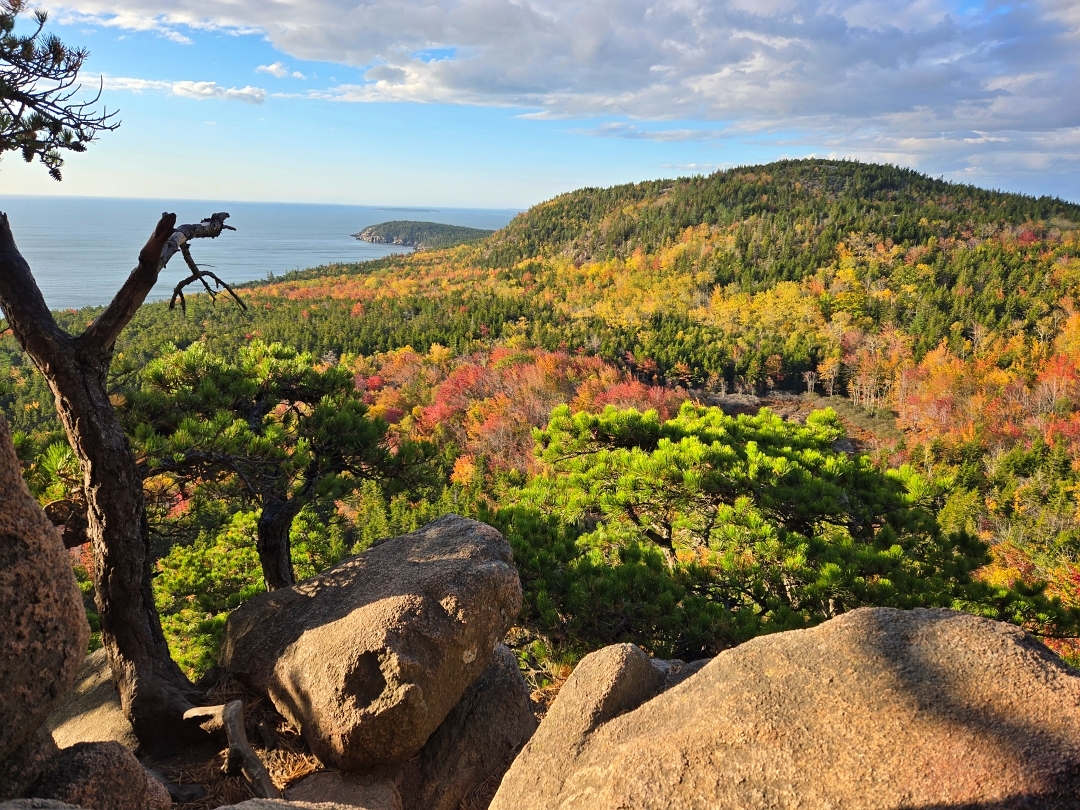 Leaf Peeping Acadia National Park, Maine